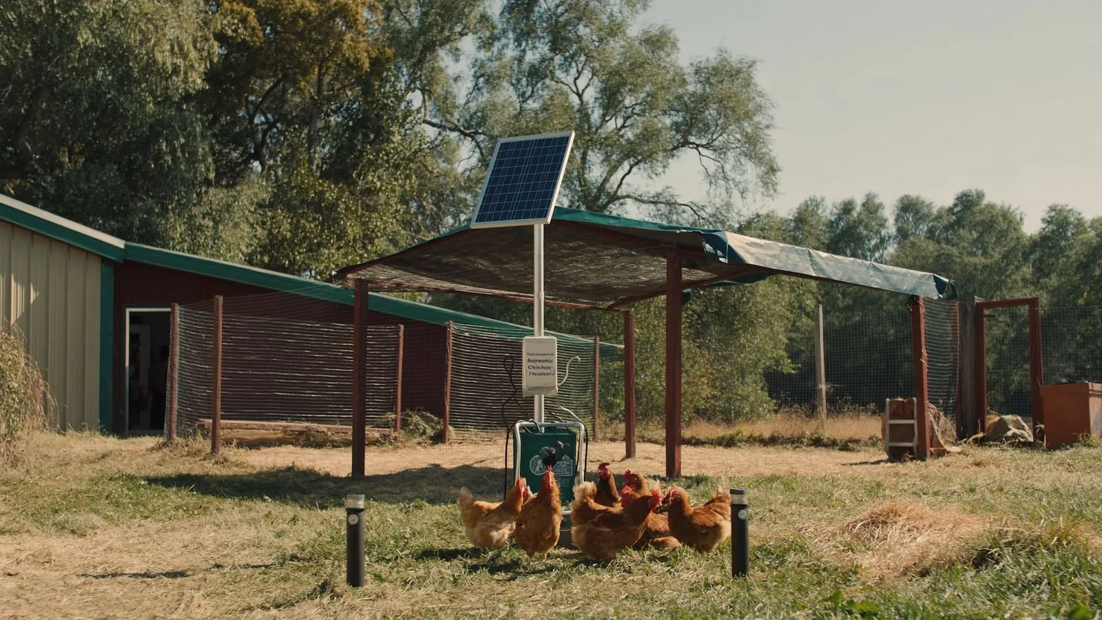 Build a Solar-Powered Automatic Chicken Feeder (Weekend Project)