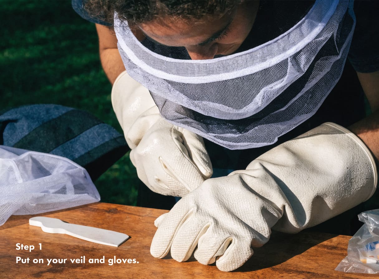 Beginner beekeeper wearing a full veil and protective gloves while holding a frame during a hive inspection