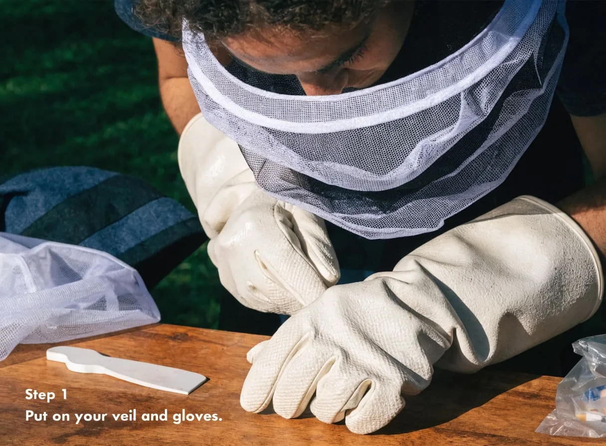 Beginner beekeeper wearing a full veil and protective gloves while holding a frame during a hive inspection