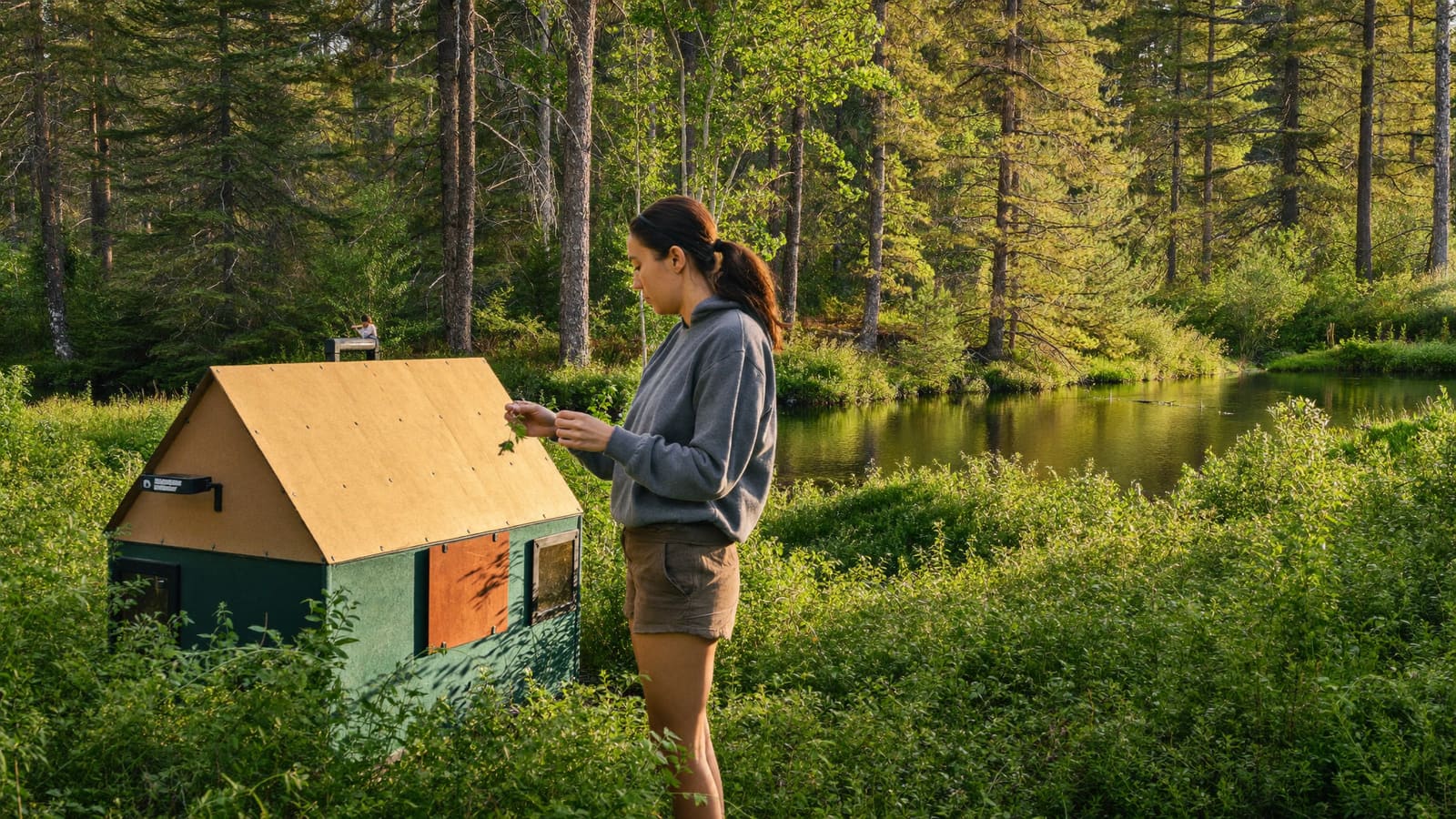Woman practicing wilderness skills and examining plants near a forest pond — frontier self-reliance