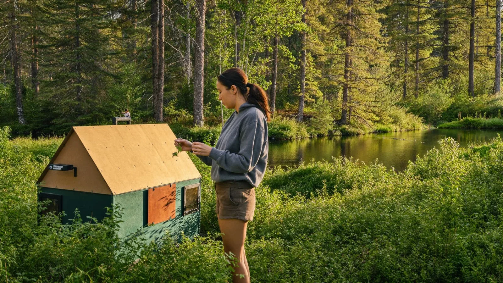 Woman practicing wilderness skills and examining plants near a forest pond — frontier self-reliance